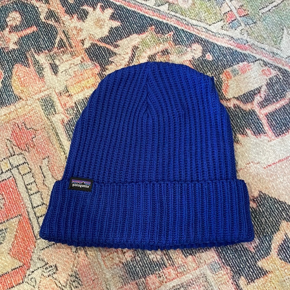 Patagonia Fisherman’s Rolled Beanie in Alpine Blue